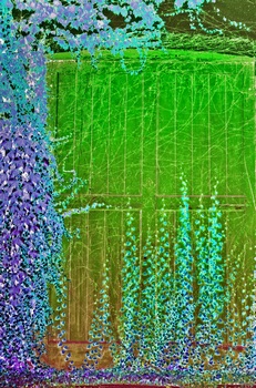 I 036B
